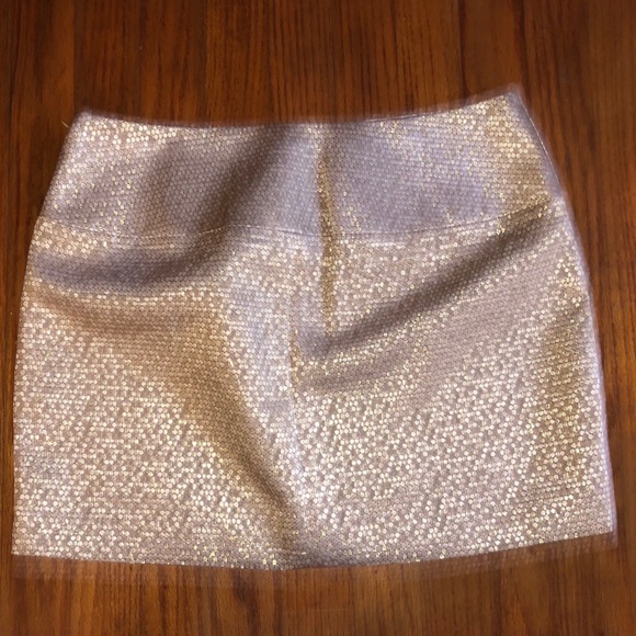 EXPRESS skirt size 6 - Picture 3 of 5